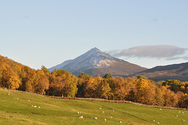 Schiehallion Project