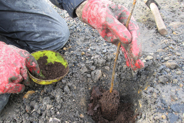 EADHA - Glentaggart Opencast Mine Woodland Project